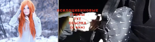 jwh Алзамай