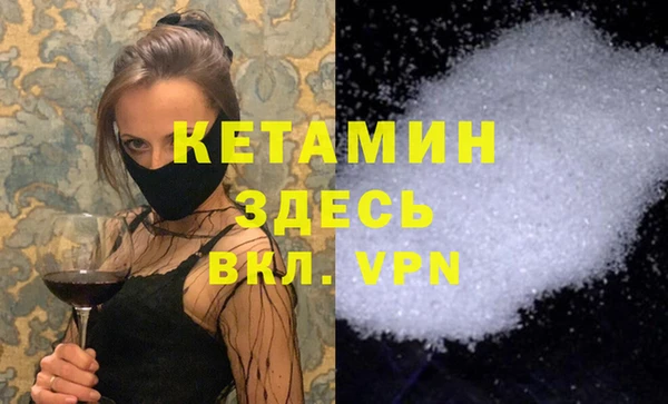 крисы Алексин