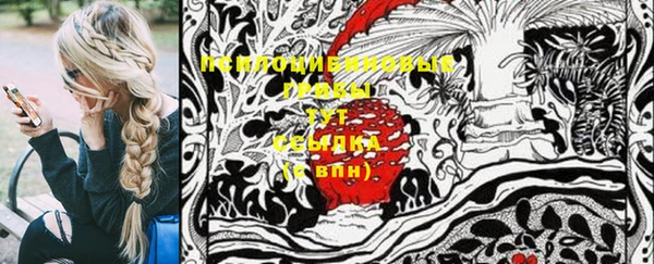 шишки Алексеевка