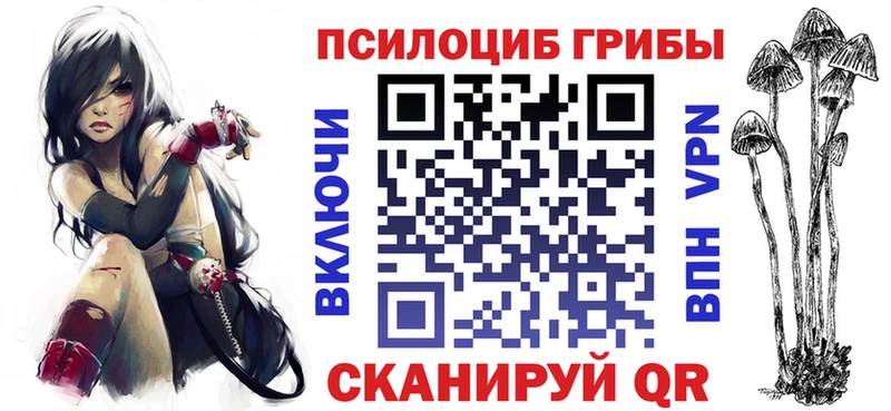 hydra ссылка  купить наркотики цена  площадка какой сайт  Галлюциногенные грибы MAGIC MUSHROOMS  Лесной 