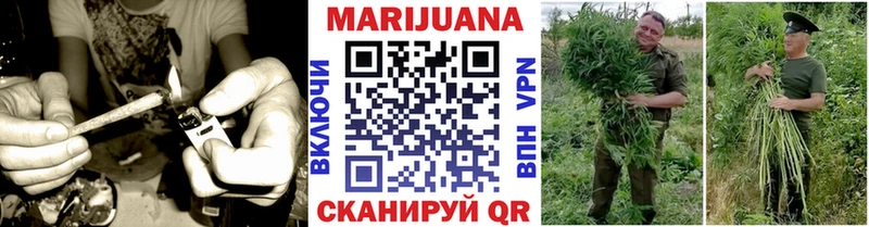 Конопля Bruce Banner  Лесной 